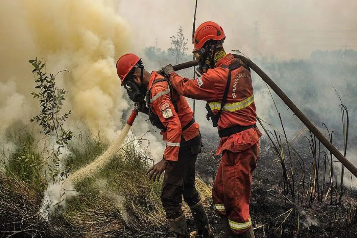Two firefighters in orange protective clothing using a hose to fight a smoky vegetation fire